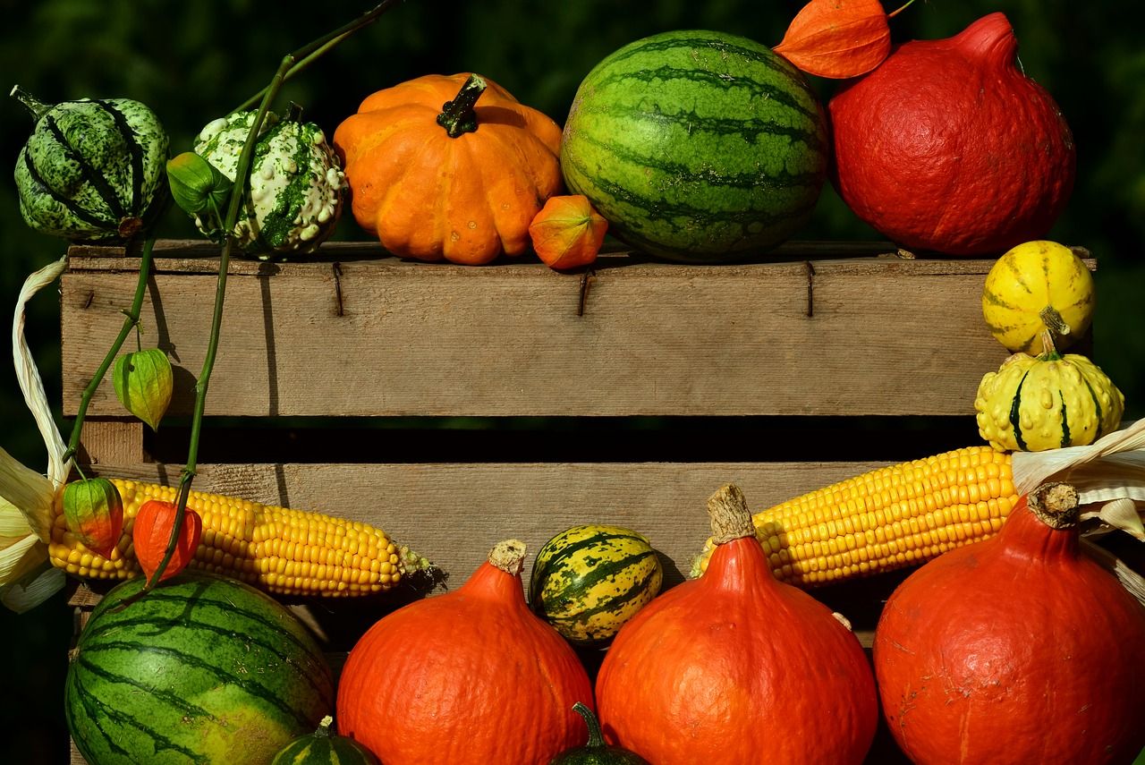 Melons